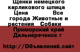 Щенки немецкого карликового шпица › Цена ­ 20 000 - Все города Животные и растения » Собаки   . Приморский край,Дальнереченск г.